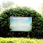 工厂环境